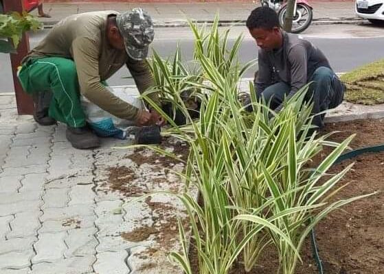 Prefeitura de Limoeiro inicia jardinagem dos novos canteiros da Avenida Severino Pinheiro