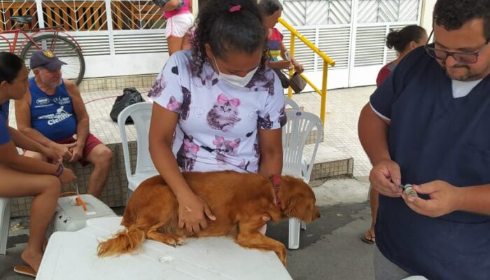 Castramóvel realiza atendimentos em comunidades urbanas e rurais de Limoeiro